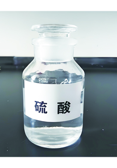 EVO真人 – 沉浸式娱乐履历的终极进化